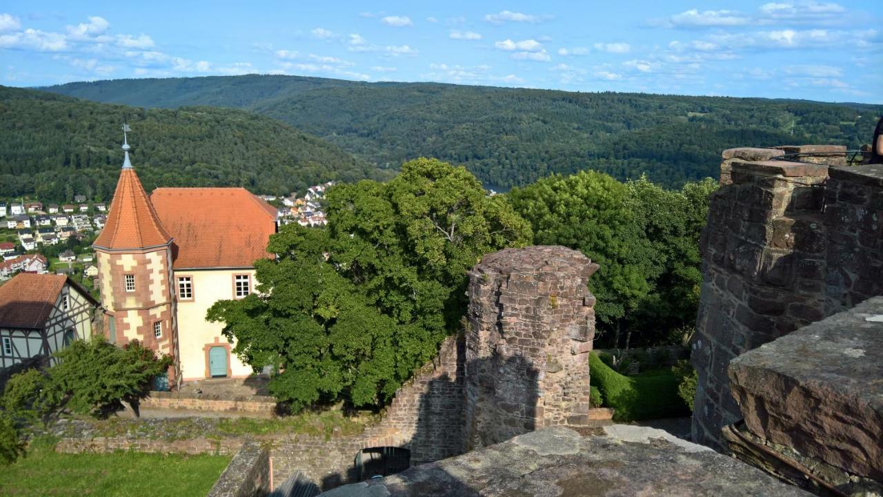 Historisches Ferienhaus Veste Dilsberg Neckargemünd Εξωτερικό φωτογραφία